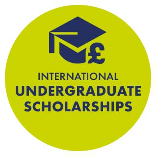 Icon for International Undergraduate Scholarships